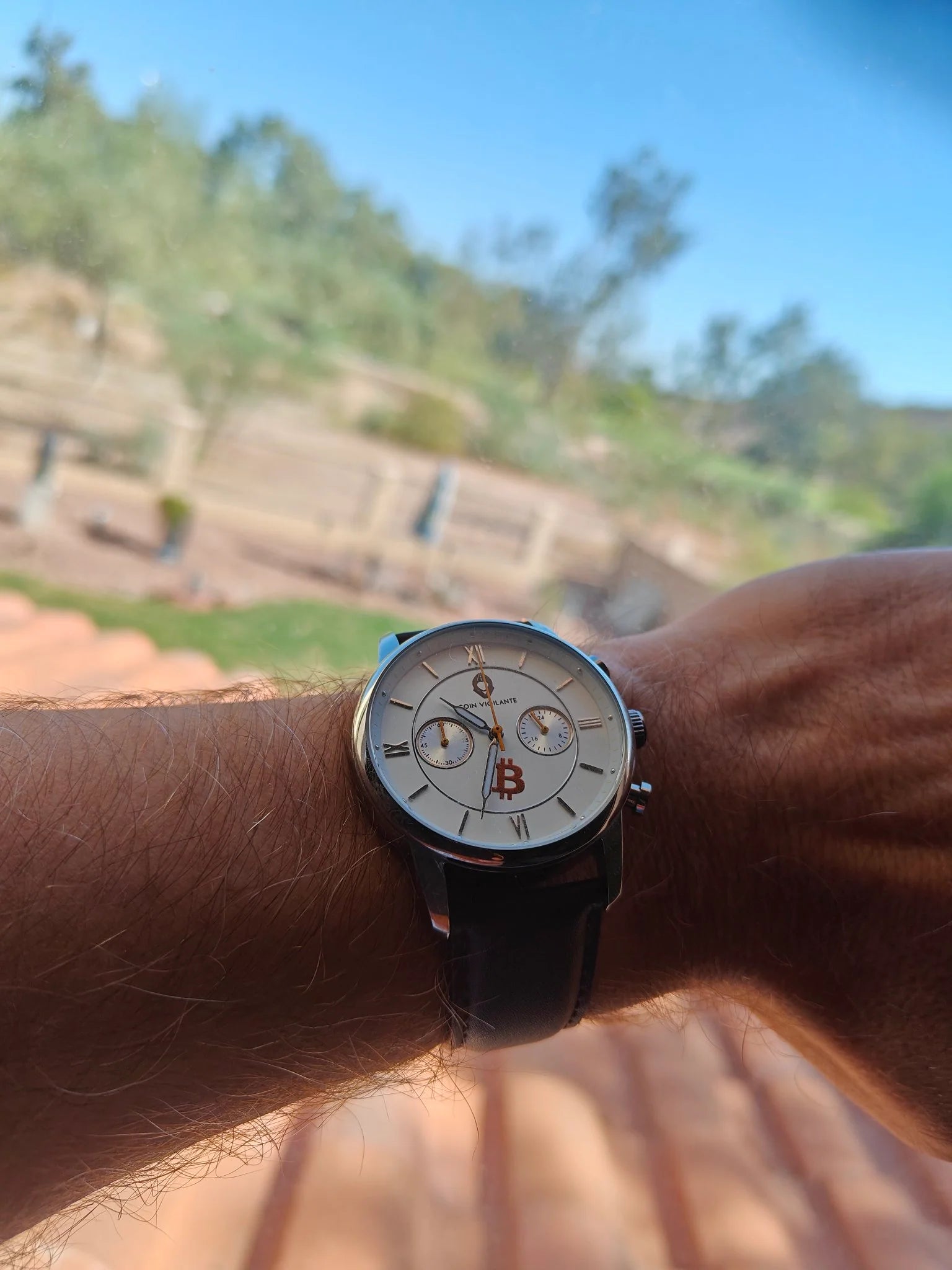 Michael Saylor Tweets, Coin Vigilante Delivers Real Bitcoin Watches